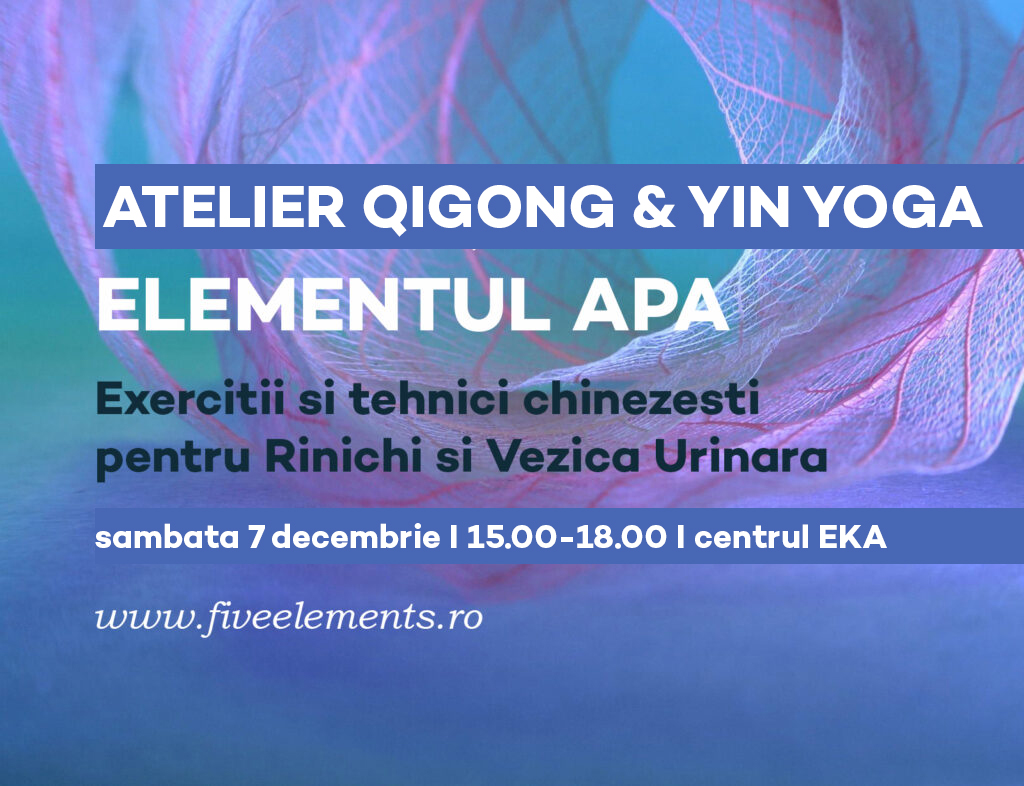 Atelier Qigong si Yin Yoga: Elementul APA * Rinichi și Vezica Urinară