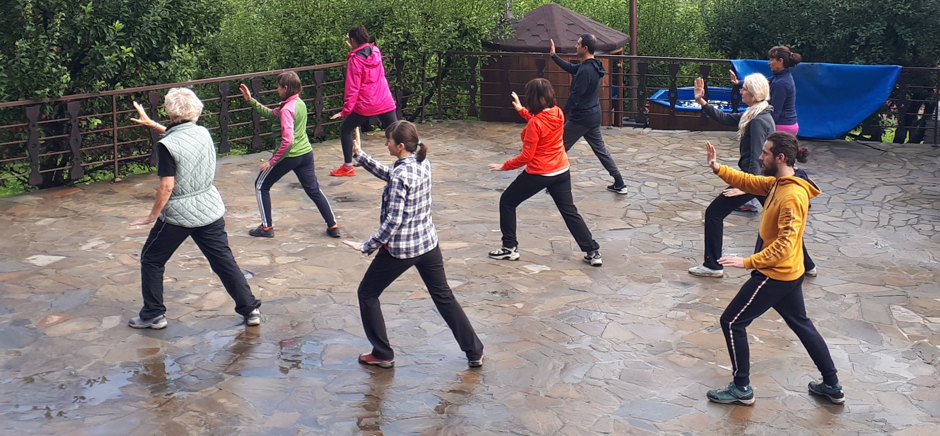 TAI CHI stilul Yang traditional – curs incepatori